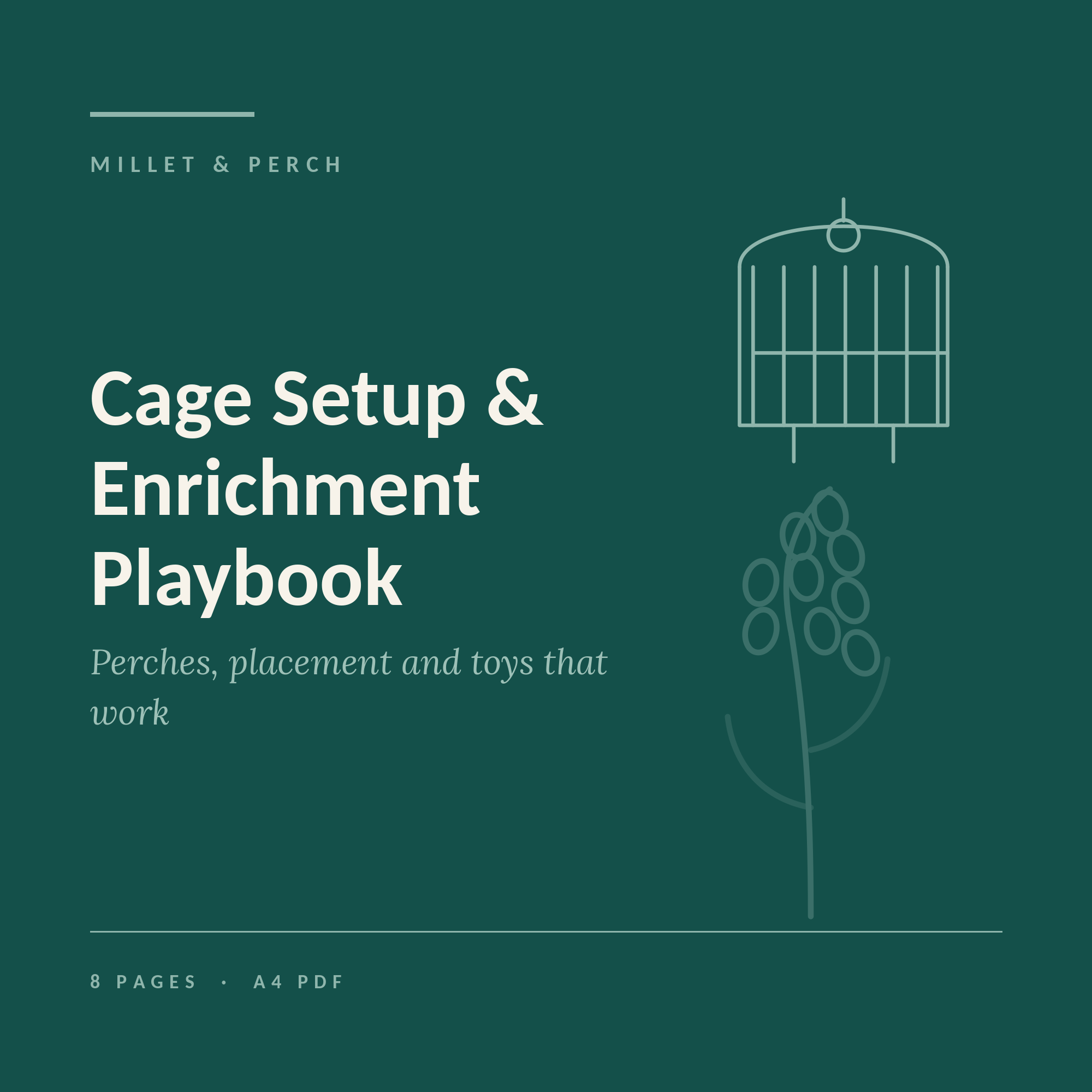 Cage Setup & Enrichment Playbook