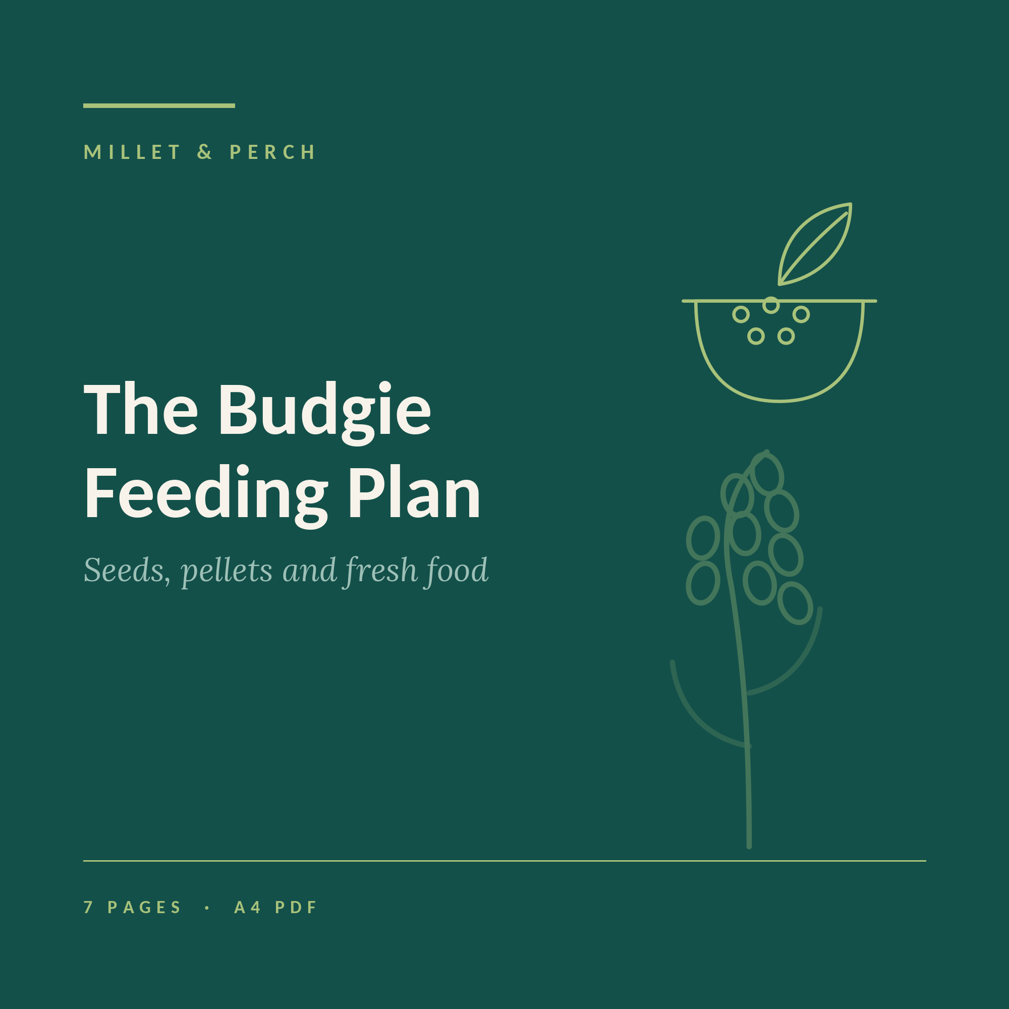 The Budgie Feeding Plan: Seeds, Pellets & Fresh Food