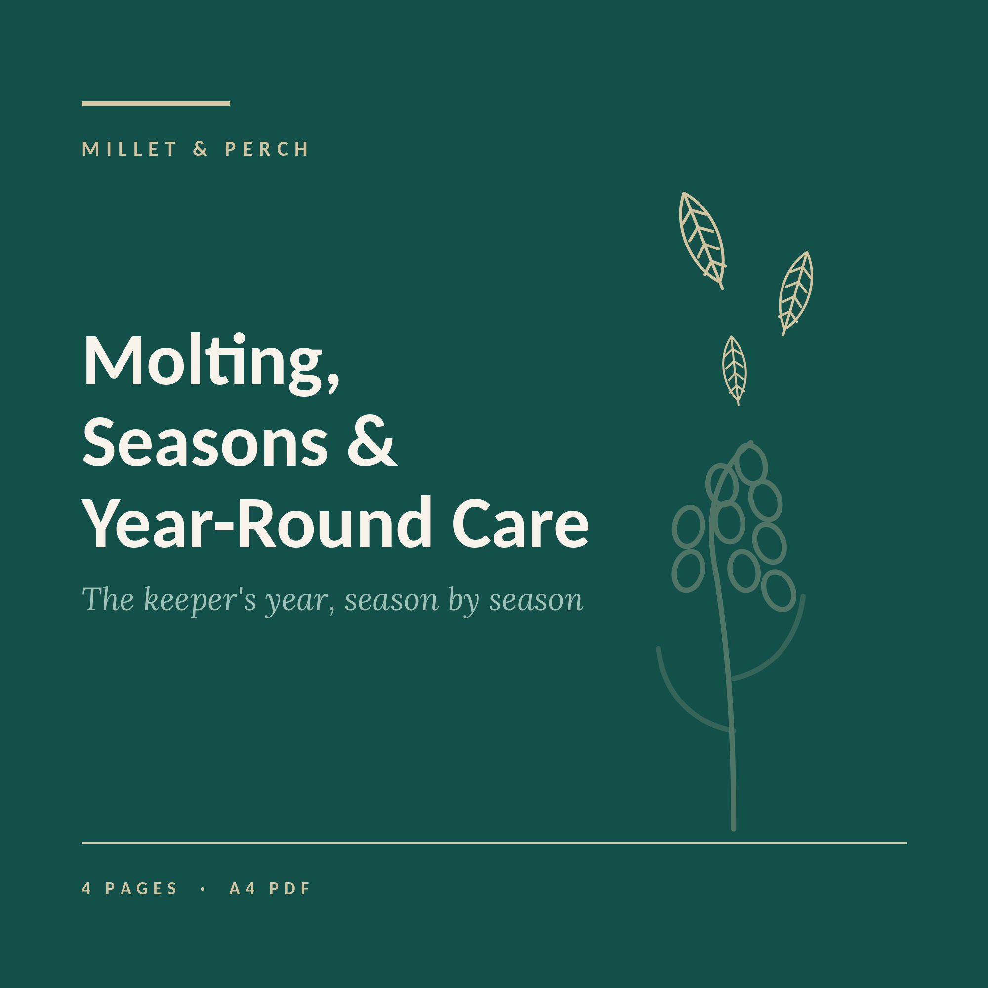 Molting, Seasons & Year-Round Care