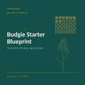 Budgie Starter Blueprint: Your First 30 Days