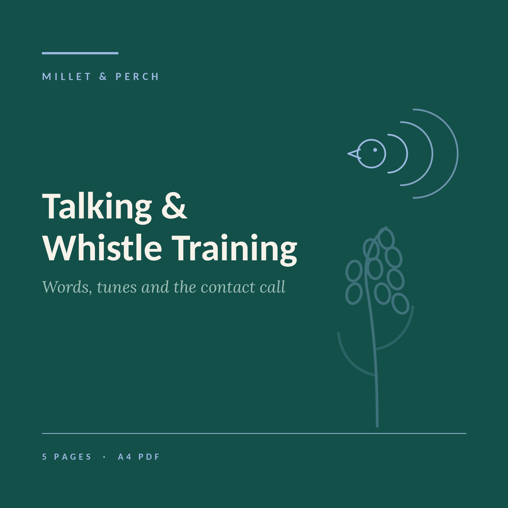 Talking & Whistle Training for Budgies