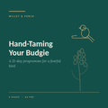 Hand-Taming Your Budgie in 21 Days