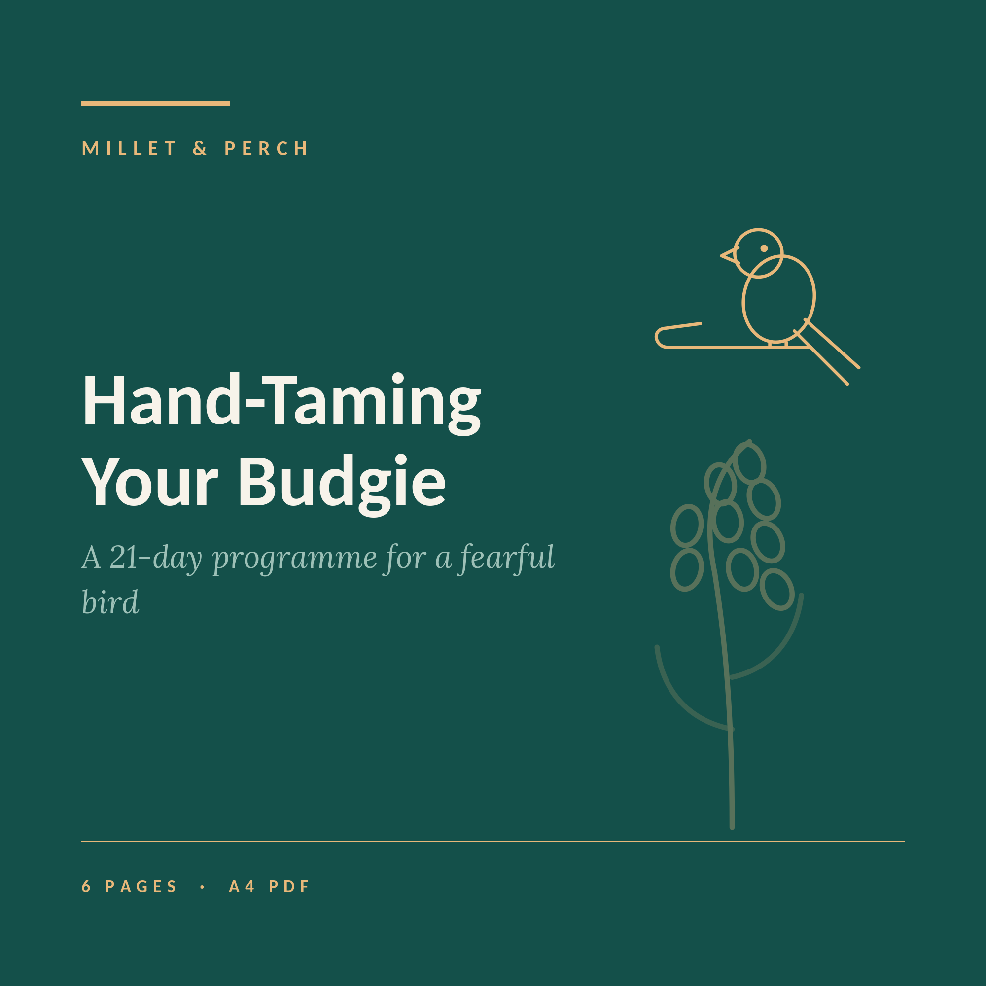 Hand-Taming Your Budgie in 21 Days